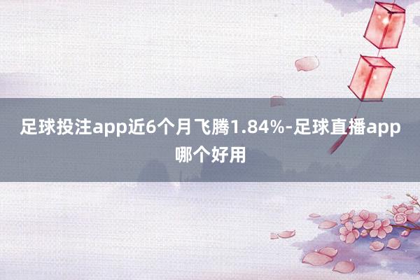 足球投注app近6个月飞腾1.84%-足球直播app哪个好用