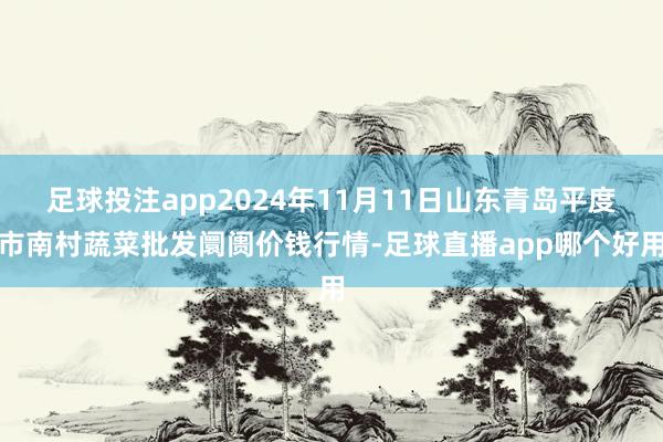 足球投注app2024年11月11日山东青岛平度市南村蔬菜批发阛阓价钱行情-足球直播app哪个好用