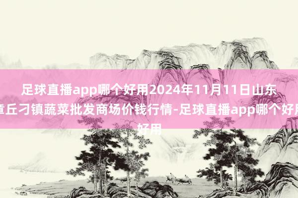 足球直播app哪个好用2024年11月11日山东章丘刁镇蔬菜批发商场价钱行情-足球直播app哪个好用