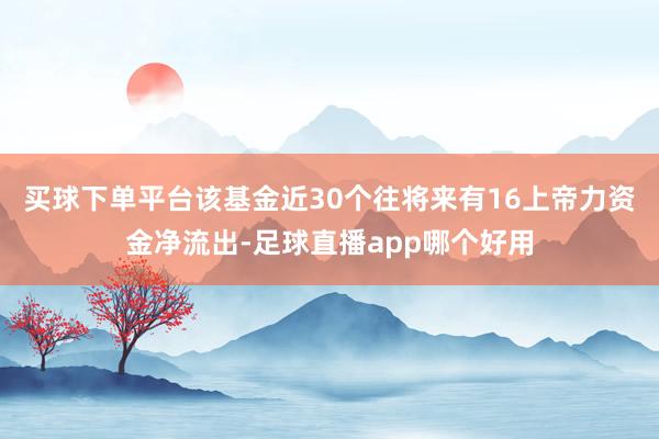 买球下单平台该基金近30个往将来有16上帝力资金净流出-足球直播app哪个好用