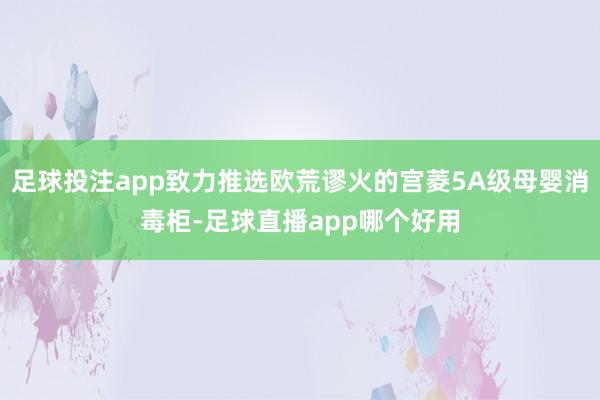 足球投注app致力推选欧荒谬火的宫菱5A级母婴消毒柜-足球直播app哪个好用