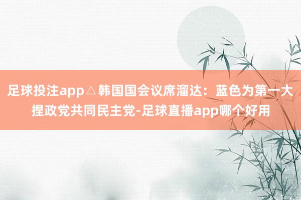 足球投注app△韩国国会议席溜达：蓝色为第一大捏政党共同民主党-足球直播app哪个好用