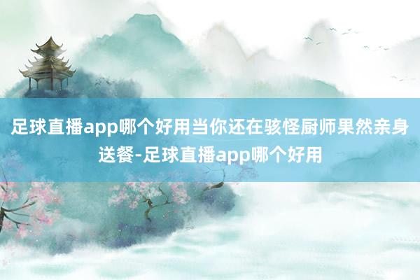 足球直播app哪个好用当你还在骇怪厨师果然亲身送餐-足球直播app哪个好用