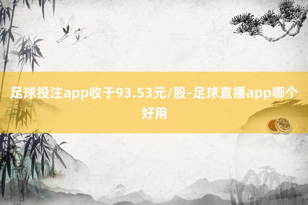 足球投注app收于93.53元/股-足球直播app哪个好用