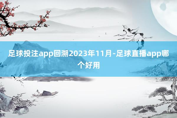 足球投注app回溯2023年11月-足球直播app哪个好用
