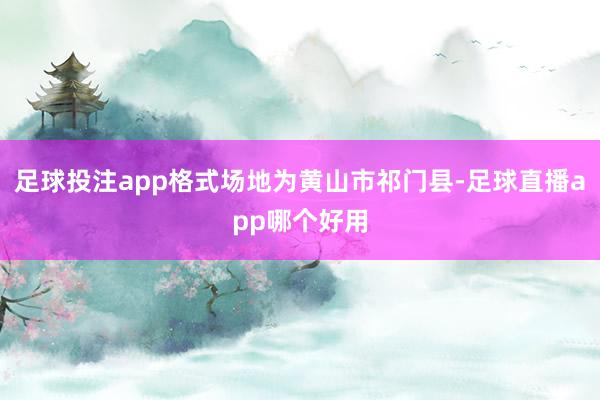 足球投注app格式场地为黄山市祁门县-足球直播app哪个好用